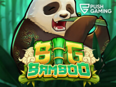 Big dollar casino free no deposit bonus codes59